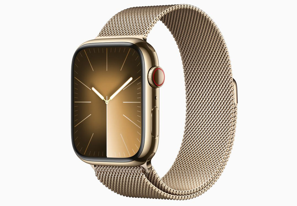 Apple Watch Series 9 Stainless Steel iPhonewalay