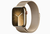 Apple Watch Series 9 (Stainless Steel)